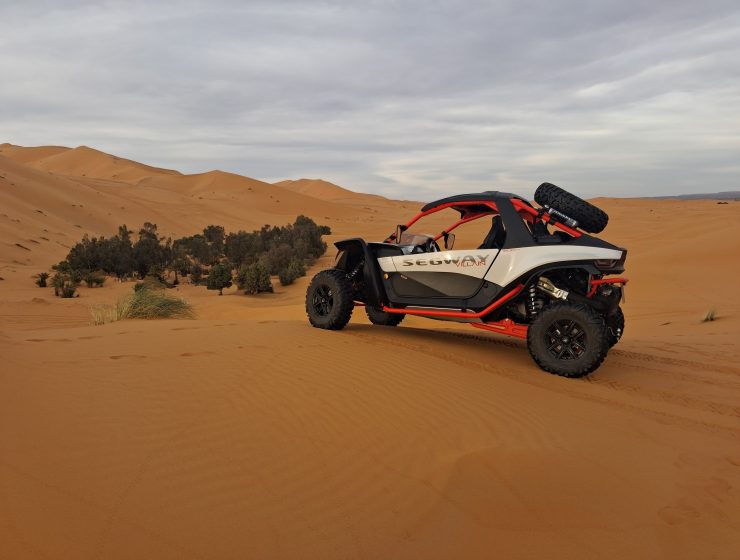 Buggy en arbolada en el desierto del Sahara en Merzouga